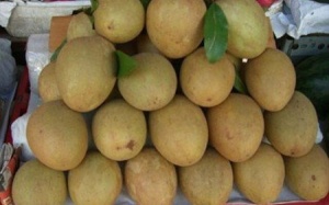 Trái cây tươi ngon vì được tẩm hóa chất cấm 